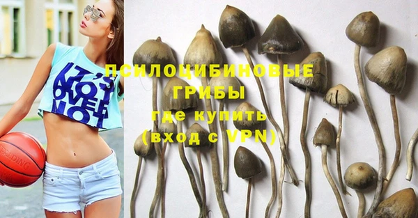 тгк Баксан