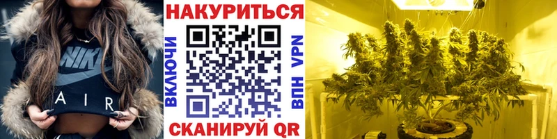 Бошки марихуана семена Знаменск