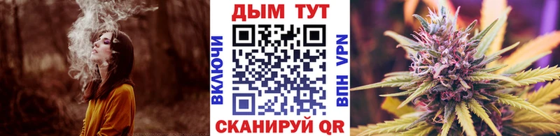 Конопля планчик  где можно купить   Знаменск 